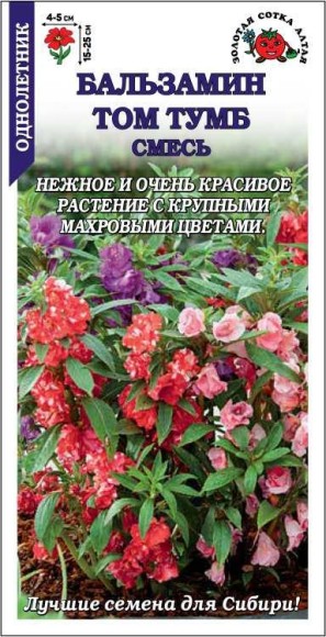 Цветы Бальзамин Том Тумб Смесь ЦВ/П (СОТКА) 0,3гр однолетник 15-25см Цветы Бальзамин Том Тумб Смесь ЦВ/П (СОТКА) 0,3гр однолетник 15-25см