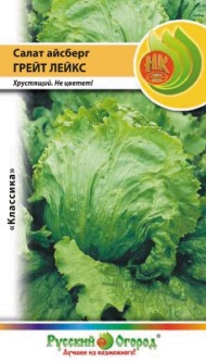 Салат Айсберг Русский размер XL ЦВ/П (НК) 0,3гр среднеранний кочанный Салат Айсберг Русский размер XL ЦВ/П (НК) 0,3гр среднеранний кочанный