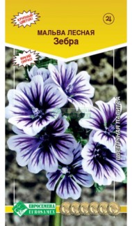 Цветы Шток-роза (Мальва) Зебра лесная ЦВ/П (ЕС) 10шт многолетник