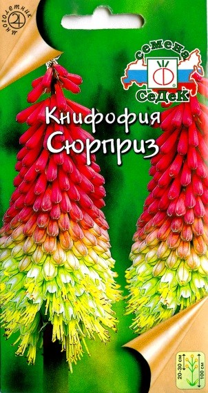 Цветы Книфофия Сюрприз ЦВ/П (СЕДЕК) 0,2гр многолетник 1м Цветы Книфофия Сюрприз ЦВ/П (СЕДЕК) 0,2гр многолетник 1м
