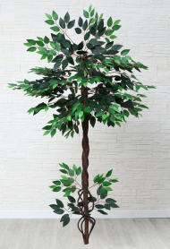 Дерево искусственное Фикус 148см Арт-416627