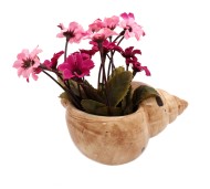 Цветы в вазоне Ракушка 7*11*14см Цветы в вазоне Ракушка 7*11*14см