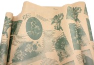 Бумага крафт Старое Фото зелёный на коричневом 70см*10м