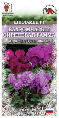 Цветы Цикламен Бахромчатый Сиреневая Гамма ЦВ/П (СОТКА) 3шт комнатное 15-25см