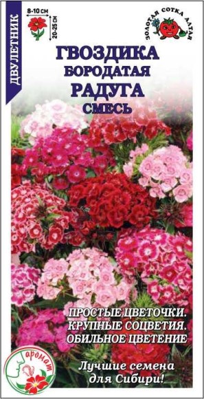 Цветы Гвоздика турецкая Радуга Смесь ЦВ/П (СОТКА) 0,3гр двулетник 20-25см