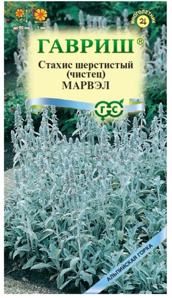 Цветы Стахис Марвэл (ГАВРИШ) 0,05гр многолетник до 50см