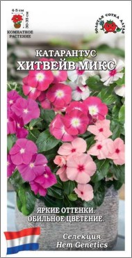 Цветы Катарантус Хитвейв Микс ЦВ/П (СОТКА) 10шт комнатное 20-30см