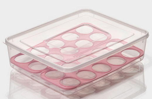 Контейнер пластиковый для Яиц 20 ячеек Доляна Арт-3785124