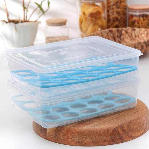 Контейнер пластиковый для Яиц 20 ячеек Доляна Арт-3785124