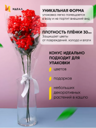 Конус прозр/прозр 50/60 (1/100шт) Цена за лист