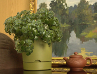 Горшок Гранд 5,2лит Папоротник D-20см с прикорневым поливом