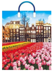 Сумочка пакет п/э пластик ручка 380*450мм Весна в городе Арт-58193