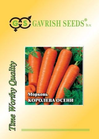 Морковь 25гр Королева осени ЦВ/П (ГАВРИШ) позднеспелый