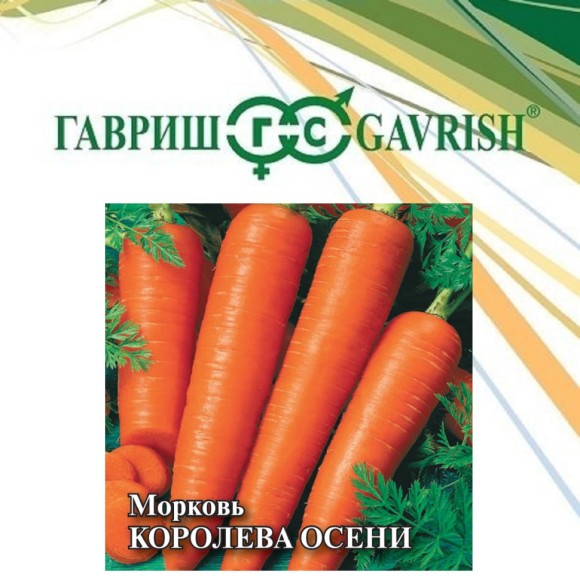 Морковь 25гр Королева осени ЦВ/П (ГАВРИШ) позднеспелый