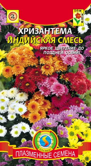 Цветы Хризантема Индийская смесь ЦВ/П (ПЛАЗМА) 20шт многолетник 45-60см