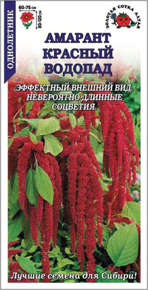 Цветы Амарант Красный Водопад ЦВ/П (СОТКА) 0,5гр однолетник сухоцвет до 1,2м