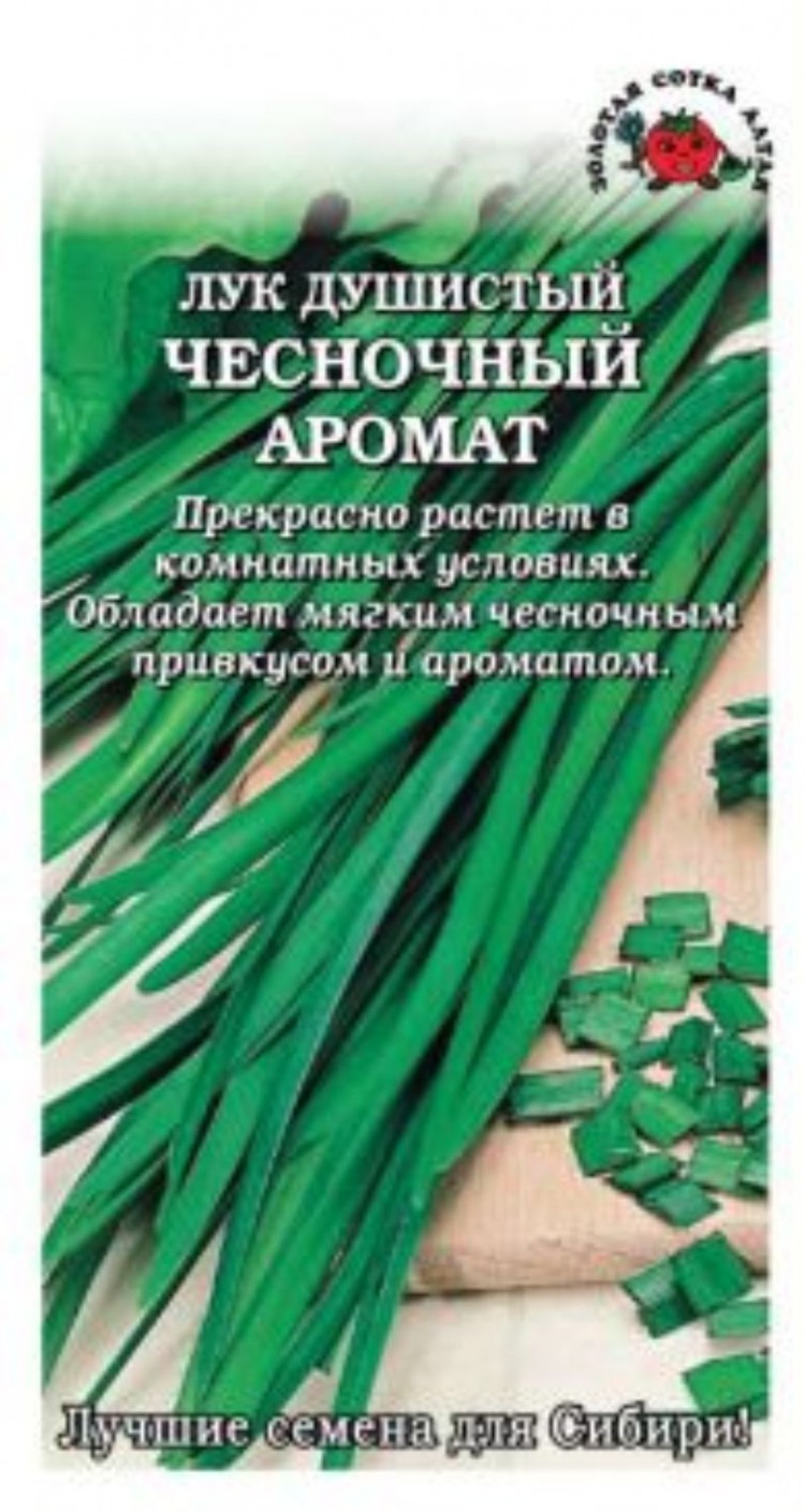 Лук с запахом чеснока. Лук душистый чесночный аромат. Семена лук душистый китайский чеснок 0.3гр(Гавриш) цв. Лук пикантный (душистый).