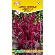 Цветы Амарант Бархатные шторы ЦВ/П (ЕС) 0,02гр однолетник сухоцвет 60-80см