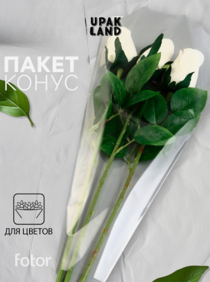 Конус прозр/прозр 50/80 (1уп/100шт) под Гладиолус Цена за лист Конус прозр/прозр 50/80 (1уп/100шт) под Гладиолус Цена за лист