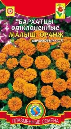 Цветы Бархатцы Малыш Оранж ЦВ/П (ПЛАЗМА) отклоненные 20см