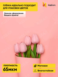 Пленка Листами Матовая однотонная Персиковая 58/58см (1уп/10шт) Цена за 1 ЛИСТ