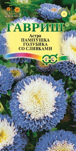 Цветы Астра Пампушка Голубика со сливками ЦВ/П (ГАВРИШ) 0,3гр помпонная однолетник 50см