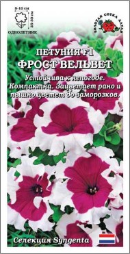 Цветы Петуния Фрост Вельвет F1 ЦВ/П (СОТКА) 10шт однолетник 25-30см