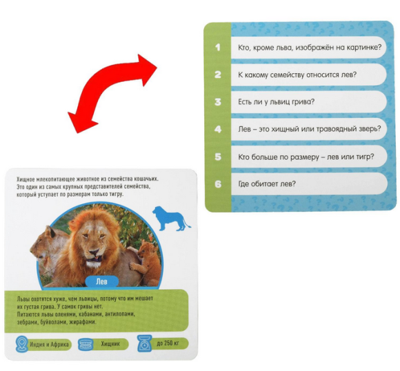 Игра Факты о животных 50карт 5+ Арт-6073224