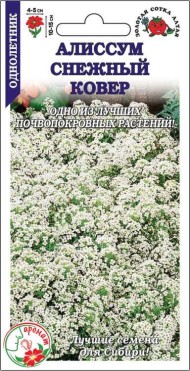 Цветы Алиссум Снежный Ковёр ЦВ/П (СОТКА) 0,1гр однолетник 10-15см