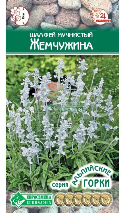 Шалфей Семенами Цена