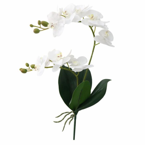 Орхидея Фалинопсис двойная с корнем белая 87см