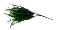 Водная трава 40 см Арт-FLQ-17
