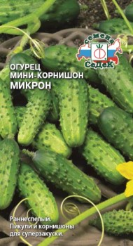 Огурец Микрон ЦВ/П (СЕДЕК) 0,5гр раннеспелый
