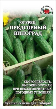 Огурец Предгорный виноград ЦВ/П (СОТКА) 0,3гр скороспелый