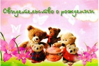 Обложка на Свидетельство о рождении 5 медведей А 5