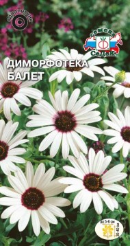 Цветы Диморфотека Балет ЦВ/П (СЕДЕК) 0,3гр однолетник 30-40см