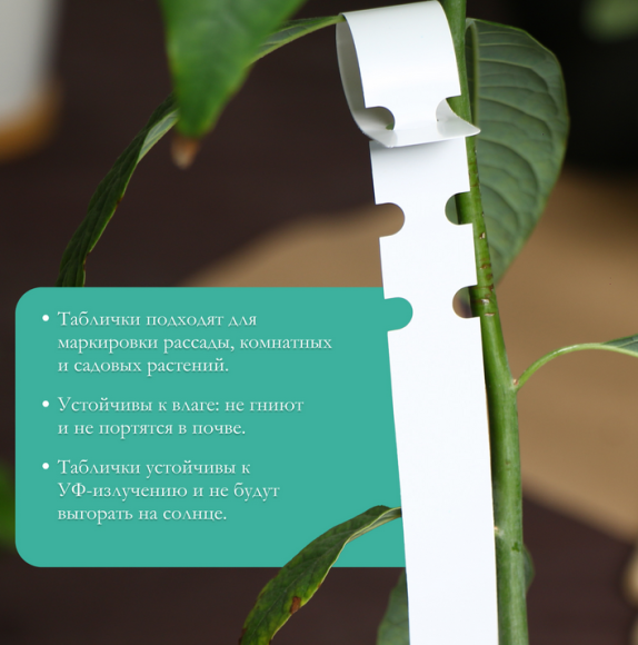 Набор табличек 21см*20штук Greengo Арт-9084119