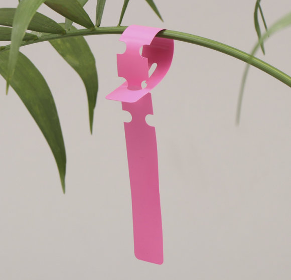 Набор табличек 21см*20штук Greengo Арт-9084119