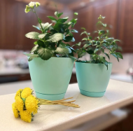 Горшок Камея 3,2лит Бирюзовый с поддоном (D-182мм)