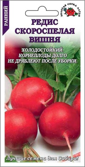 Редис Скороспелая Вишня ЦВ/П (СОТКА) 2гр скороспелый