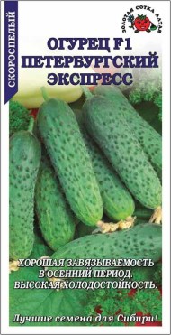 Огурец Петербургский экспресс ЦВ/П (СОТКА) 0,15гр скороспелый партенокарпический Огурец Петербургский экспресс ЦВ/П (СОТКА) 0,15гр скороспелый партенокарпический