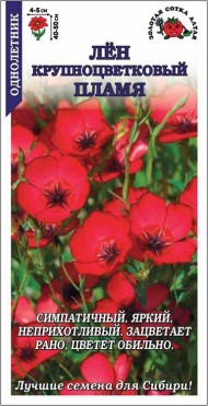 Цветы ЛЁН Пламя крупноцветковый ЦВ/П (СОТКА) 0,3гр однолетник 40-50см