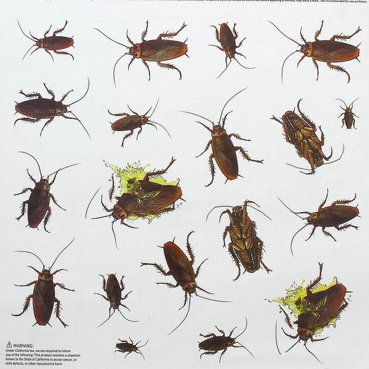 Прикол Наклейка Тараканы Арт-1276667