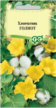 цветы Хлопчатник Голиот ЦВ/П (ГАВРИШ) 3шт комнатное до 1м