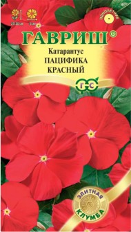 Цветы Катарантус Пацифика Красный ЦВ/П (ГАВРИШ) 5шт однолетник 25-30см Цветы Катарантус Пацифика Красный ЦВ/П (ГАВРИШ) 5шт однолетник 25-30см