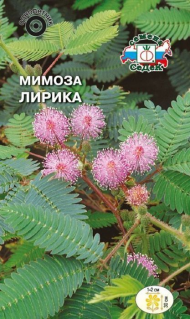 Цветы Мимоза Лирика ЦВ/П (СЕДЕК) 0,1гр комнатное