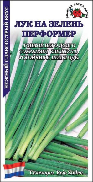 Лук на зелень Перформер ЦВ/П (СОТКА) 0,2гр среднеспелый