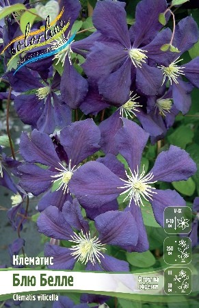 Клематис Блю Белле (1уп/2шт)