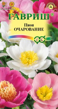 Цветы Пион Очарование ЦВ/П (ГАВРИШ) 3шт многолетник до 1,3м
