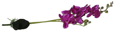 Орхидея Фалинопсис двойная с корнем розовр-фиолет (искусств)